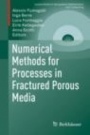 Numerical Methods for Processes in Fractured Porous Media - ISBN 9783030269401