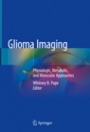 Glioma Imaging - ISBN 9783030273583