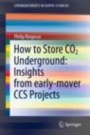 How to Store CO2 Underground: Insights from early-mover CCS Projects - ISBN 9783030331122