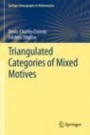 Triangulated Categories of Mixed Motives - ISBN 9783030332440