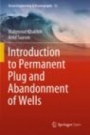 Introduction to Permanent Plug and Abandonment of Wells - ISBN 9783030399726