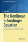 The Nonlinear Schrödinger Equation - ISBN 9783319127477