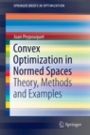 Convex Optimization in Normed Spaces - ISBN 9783319137094
