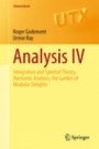 Analysis IV - ISBN 9783319169064