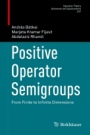 Positive Operator Semigroups - ISBN 9783319428116