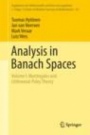 Analysis in Banach Spaces  - ISBN 9783319485195