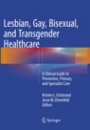 Lesbian, Gay, Bisexual, and Transgender Healthcare - ISBN 9783319792873