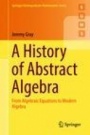A History of Abstract Algebra - ISBN 9783319947723