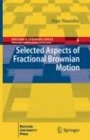 Selected Aspects of Fractional Brownian Motion - ISBN 9788847028227
