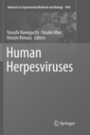 Human Herpesviruses - ISBN 9789811339271
