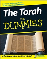 The Torah For Dummies - ISBN 9780470173459