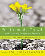 Posttraumatic Growth and Culturally Competent Practice: Lessons Learned from Around the Globe - ISBN 9780470358023