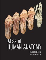 Atlas of Human Anatomy - ISBN 9780470501450