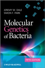 Molecular Genetics of Bacteria - ISBN 9780470741849