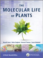 The Molecular Life of Plants - ISBN 9780470870129