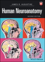 Human Neuroanatomy - ISBN 9780470961612