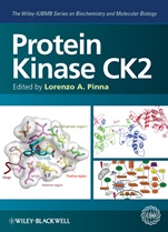 Protein Kinase CK2 - ISBN 9780470963036