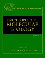 Encyclopedia of Molecular Biology: 4 Volume Set - ISBN 9780471153023