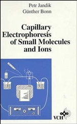 Capillary Electrophoresis of Small Molecules and Ions - ISBN 9780471188223