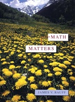 Math Matters - ISBN 9780471304524