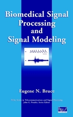 Biomedical Signal Processing and Signal Modeling - ISBN 9780471345404