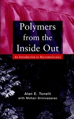 Polymers From the Inside Out: An Introduction to Macromolecules - ISBN 9780471381389