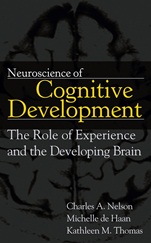 Neuroscience of Cognitive Development: The Role of Experience and the Developing Brain - ISBN 9780471745860