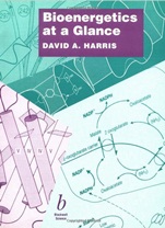 Bioenergetics at a Glance: An Illustrated Introduction - ISBN 9780632023882