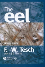 The Eel - ISBN 9780632063895