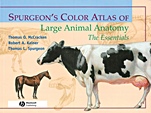 Spurgeons Color Atlas of Large Animal Anatomy: The Essentials - ISBN 9780683306736