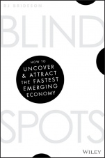 Blind Spots: How to Uncover and Attract the Fastest Emerging Economy - ISBN 9780730345404