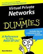 Virtual Private Networks For Dummies - ISBN 9780764505904