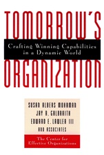 Tomorrows Organization: Crafting Winning Capabilities in a Dynamic World - ISBN 9780787940041