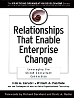 Relationships That Enable Enterprise Change: Leveraging the Client–Consultant Connection - ISBN 9780787960803