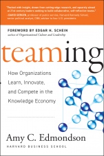 Teaming: How Organizations Learn, Innovate, and Compete in the Knowledge Economy - ISBN 9780787970932