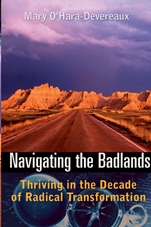 Navigating the Badlands: Thriving in the Decade of Radical Transformation - ISBN 9780787971380