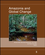 Amazonia and Global Change - ISBN 9780875904764