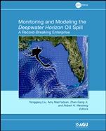 Monitoring and Modeling the Deepwater Horizon Oil Spill: A Record Breaking Enterprise - ISBN 9780875904856