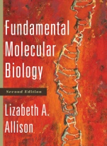 Fundamental Molecular Biology - ISBN 9781118059814