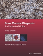Bone Marrow Diagnosis: An Illustrated Guide - ISBN 9781118253656