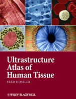 Ultrastructure Atlas of Human Tissues - ISBN 9781118284537