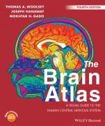 The Brain Atlas: A Visual Guide to the Human Central Nervous System - ISBN 9781118438770