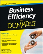 Business Efficiency For Dummies - ISBN 9781118449493