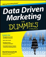 Data Driven Marketing For Dummies - ISBN 9781118615843