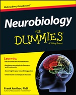 Neurobiology For Dummies - ISBN 9781118689318