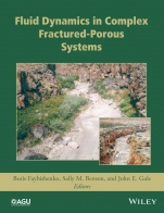 Fluid Dynamics in Complex Fractured–Porous Systems - ISBN 9781118877203