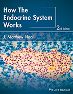 How the Endocrine System Works - ISBN 9781118931486