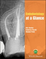 Endodontology at a Glance - ISBN 9781118994702