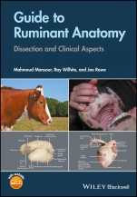 Guide to Ruminant Anatomy: Dissection and Clinical Aspects - ISBN 9781119051022