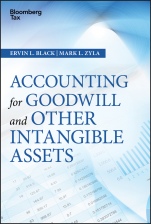 Accounting for Goodwill and Other Intangible Assets - ISBN 9781119157151